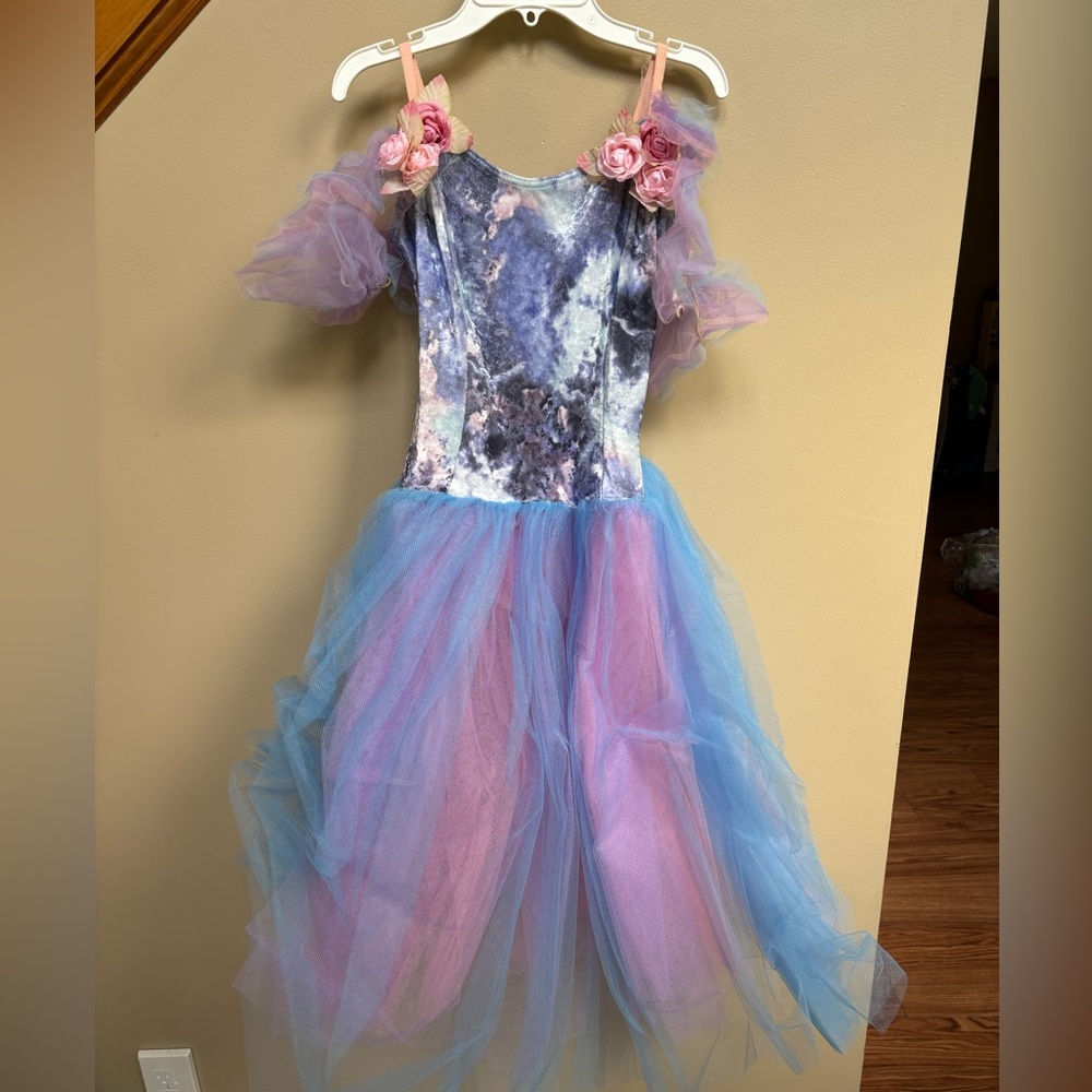 Women’s ballet / Halloween costume